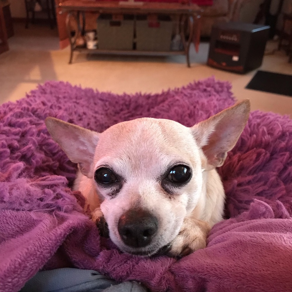 Meet your Posher, Robin